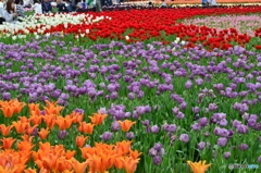花のジュウタン