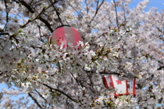 お祭り気分♫