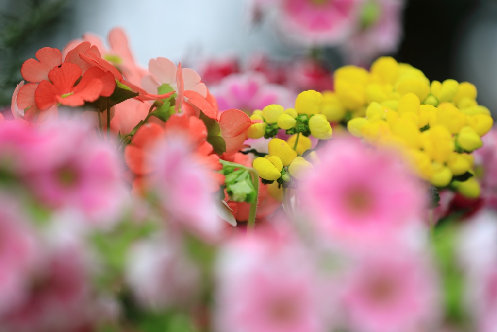 百合が原公園 2