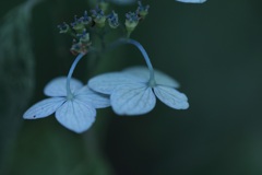 札幌豊平公園