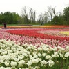滝野すずらん公園