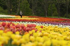 滝野すずらん公園