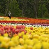 滝野すずらん公園