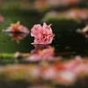 有終の美