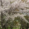 圧倒されて