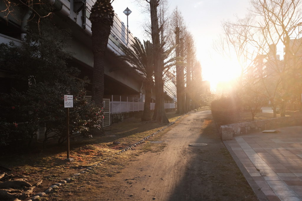 夕光