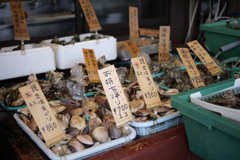 魚介