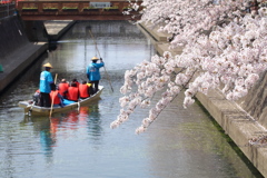 水の郷②