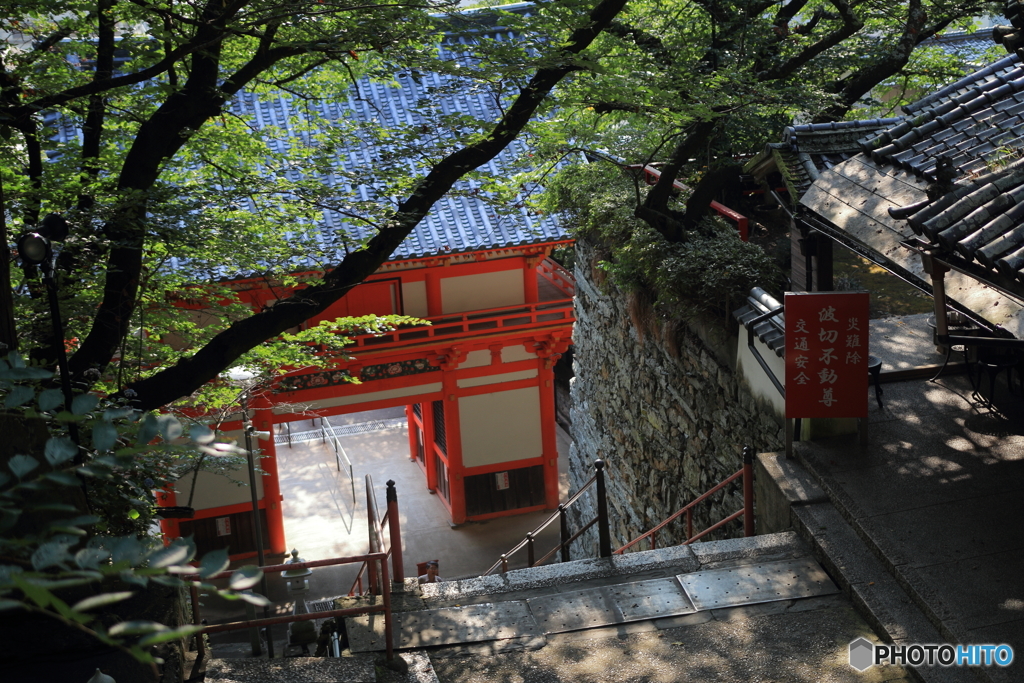 緑参道