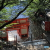緑参道