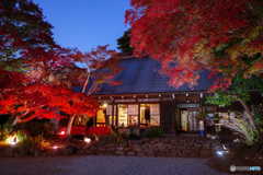 緑水庵