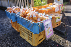 みかん
