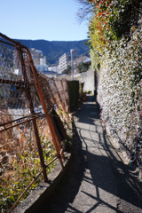 路