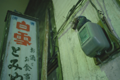 鳩