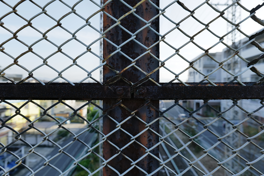 LUMIX S5 試写