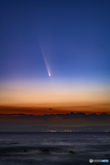 紫金山・アトラス彗星