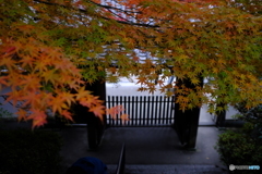 門上