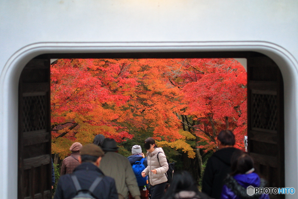 紅白