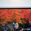 紅白
