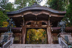門奥の彩