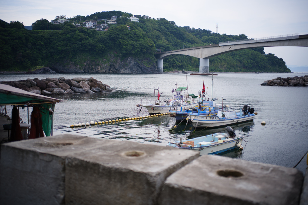漁港