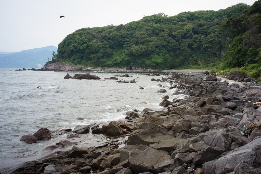 岸壁