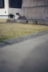 主