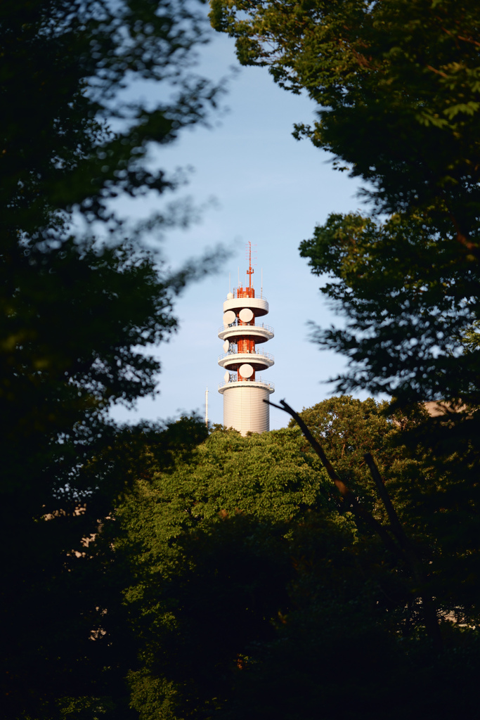 塔