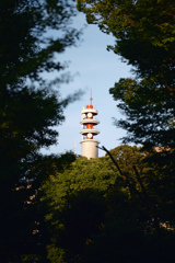 塔