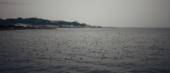浮