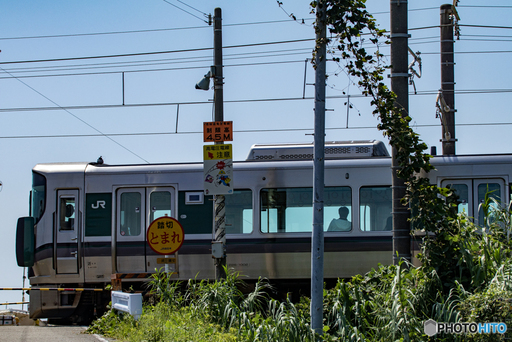 新車の風