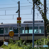 新車の風