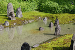 真の池　偽の池