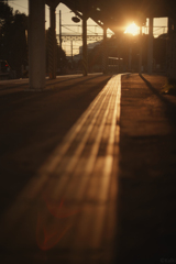 日没