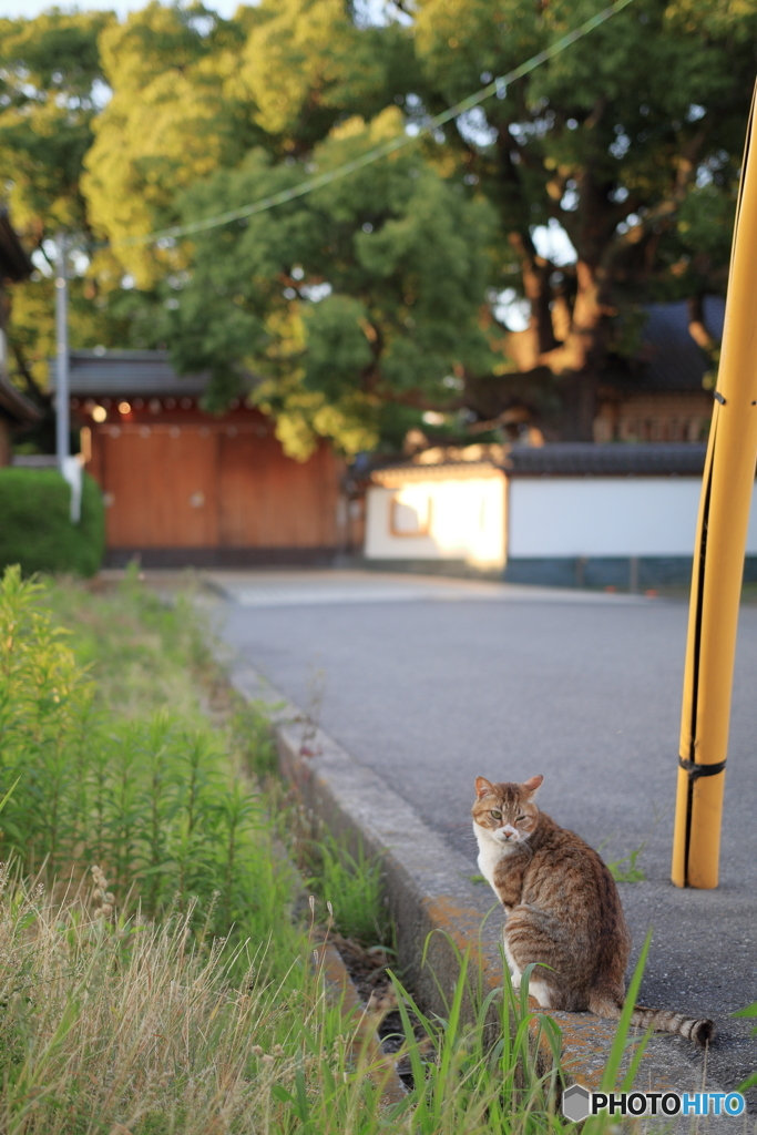 夕方くらい