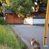 夕方くらい