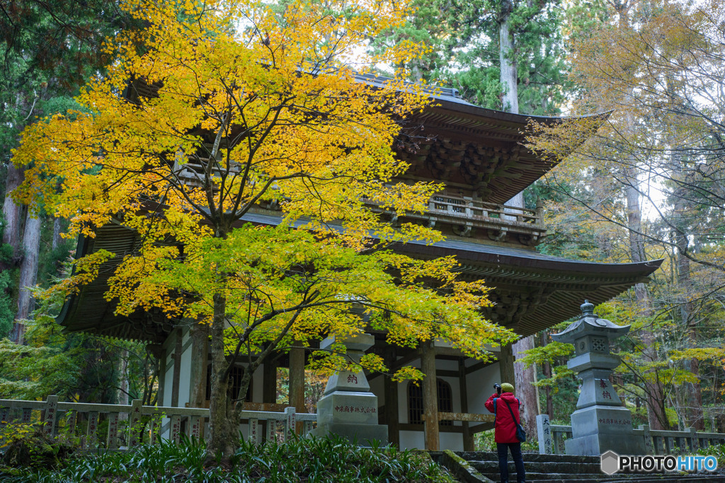 大雄山最乗寺