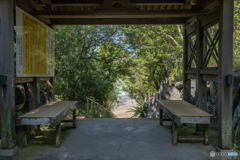 ウミガメの浜へ