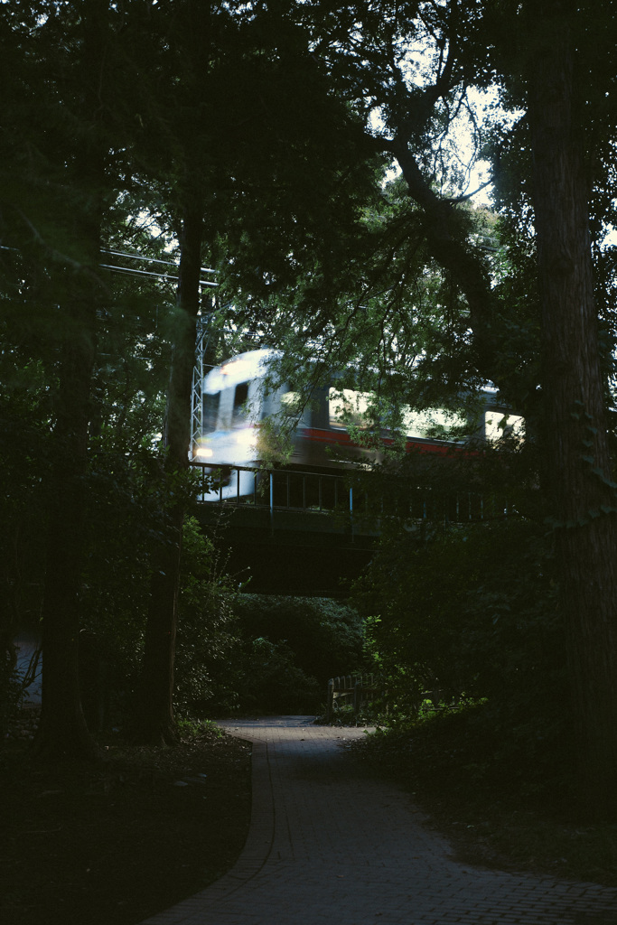 路