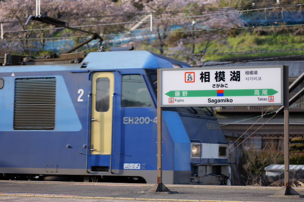 相模湖