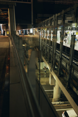 Snap in SHIBUYA