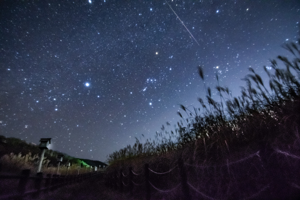 曽爾高原の星空