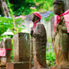 紫陽花寺