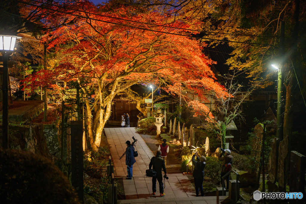 大雄山最乗寺の紅葉