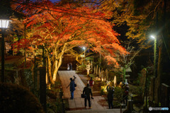 大雄山最乗寺の紅葉