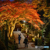 大雄山最乗寺の紅葉