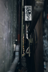 Snap in SHIBUYA