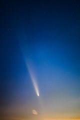 紫金山・アトラス彗星