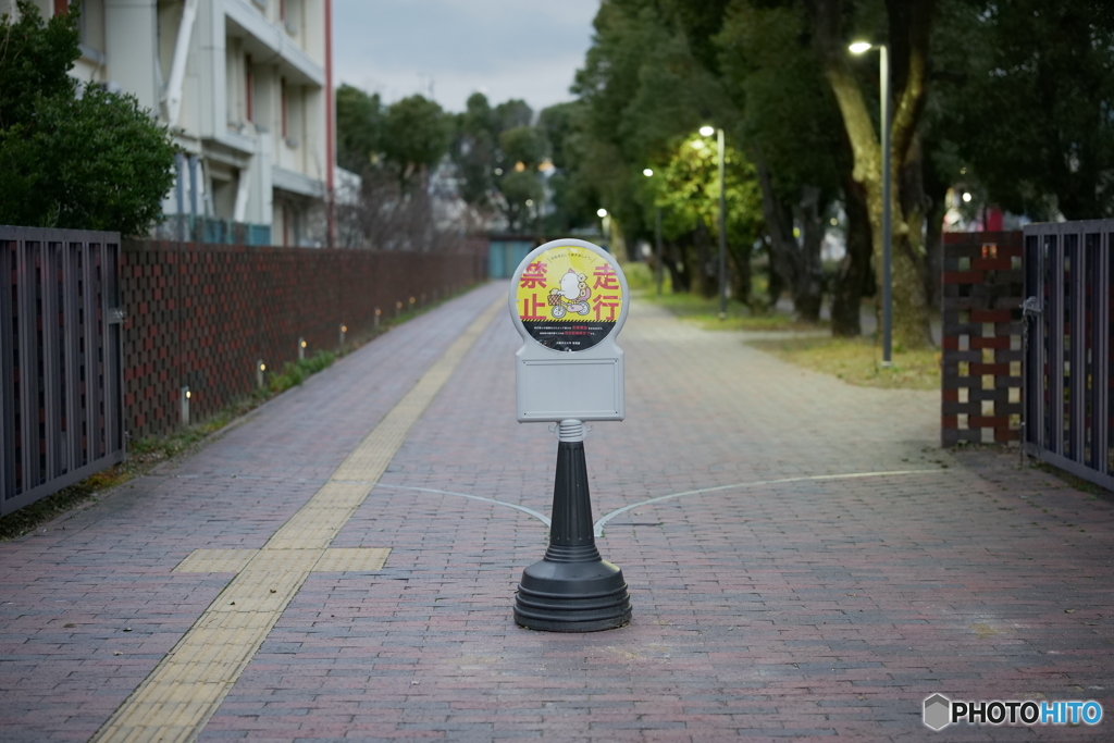 掲板