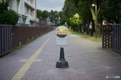 掲板